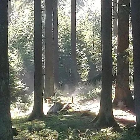 Kleine Auszeit Vulkaneifel 콥