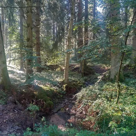 Kleine Auszeit Vulkaneifel Lägenhet