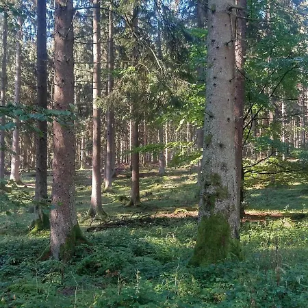 Lägenhet Kleine Auszeit Vulkaneifel Kopp