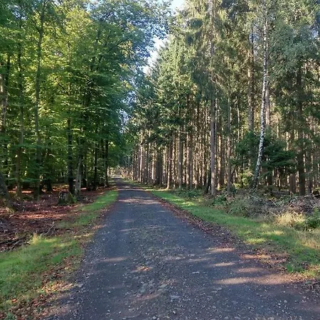 Kleine Auszeit Vulkaneifel Lägenhet *