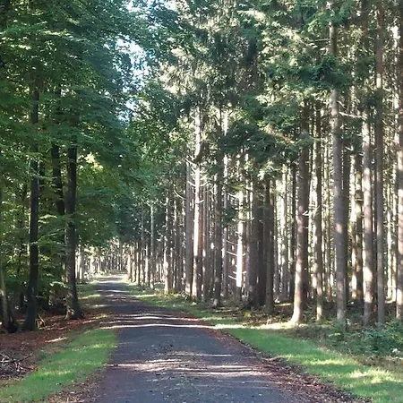 Kleine Auszeit Vulkaneifel Lägenhet *